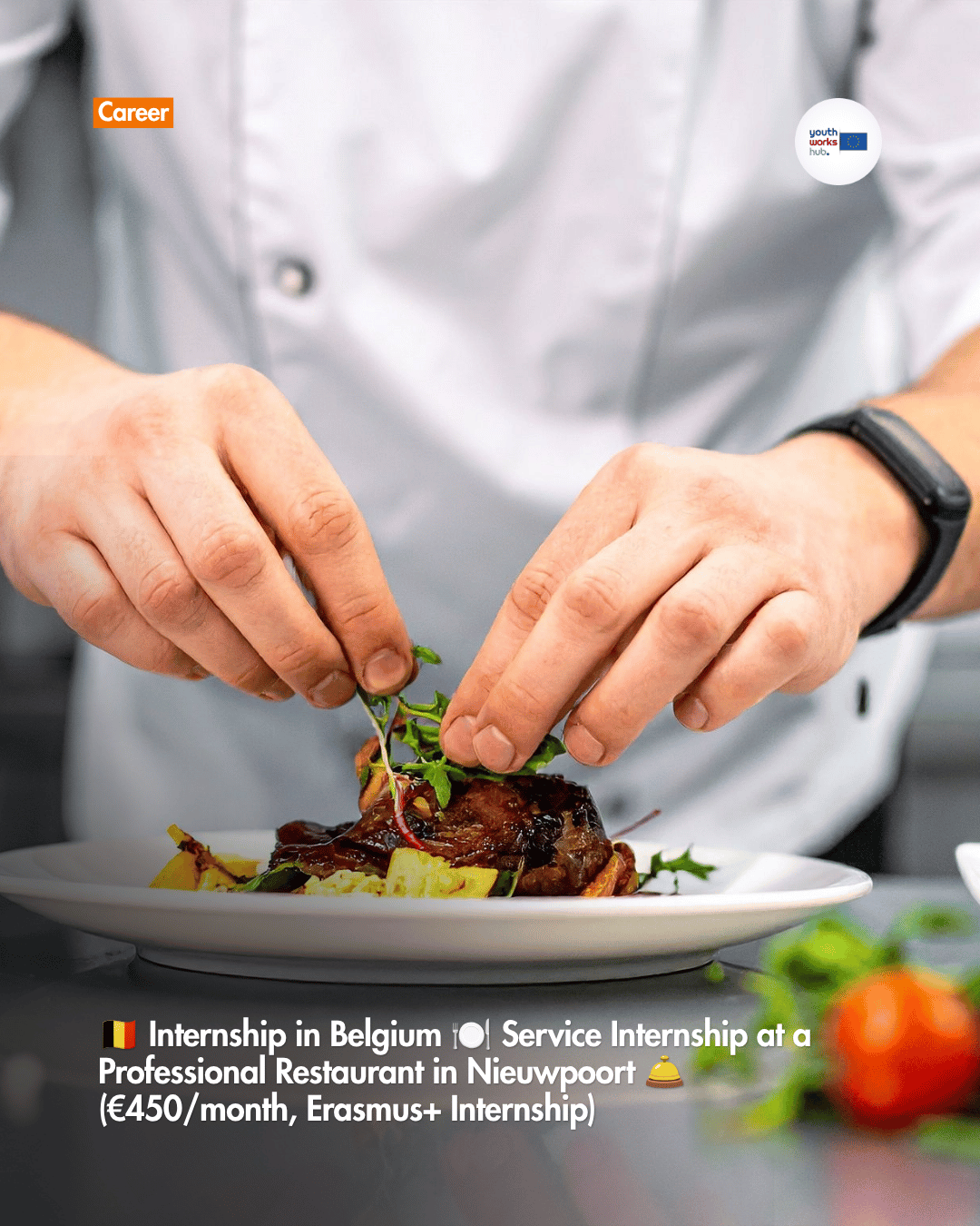 🇧🇪 Internship in Belgium 🍽️ Service Internship at a Professional Restaurant in Nieuwpoort 🛎️ (€450/month, Erasmus+ Internship)