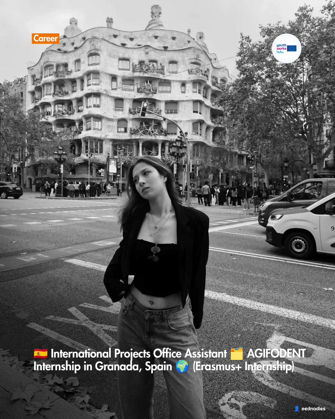🇪🇸 International Projects Office Assistant 🗂️ AGIFODENT Internship in Granada, Spain 🌍 (Erasmus+ Internship)