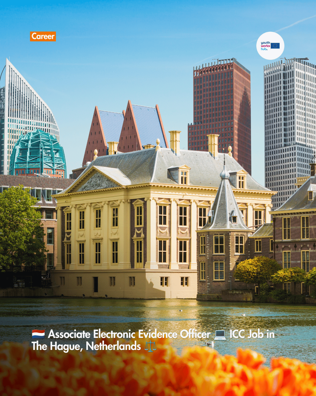 🇳🇱 Associate Electronic Evidence Officer 💻 ICC Job in The Hague, Netherlands ⚖️ (€71,893/year net)