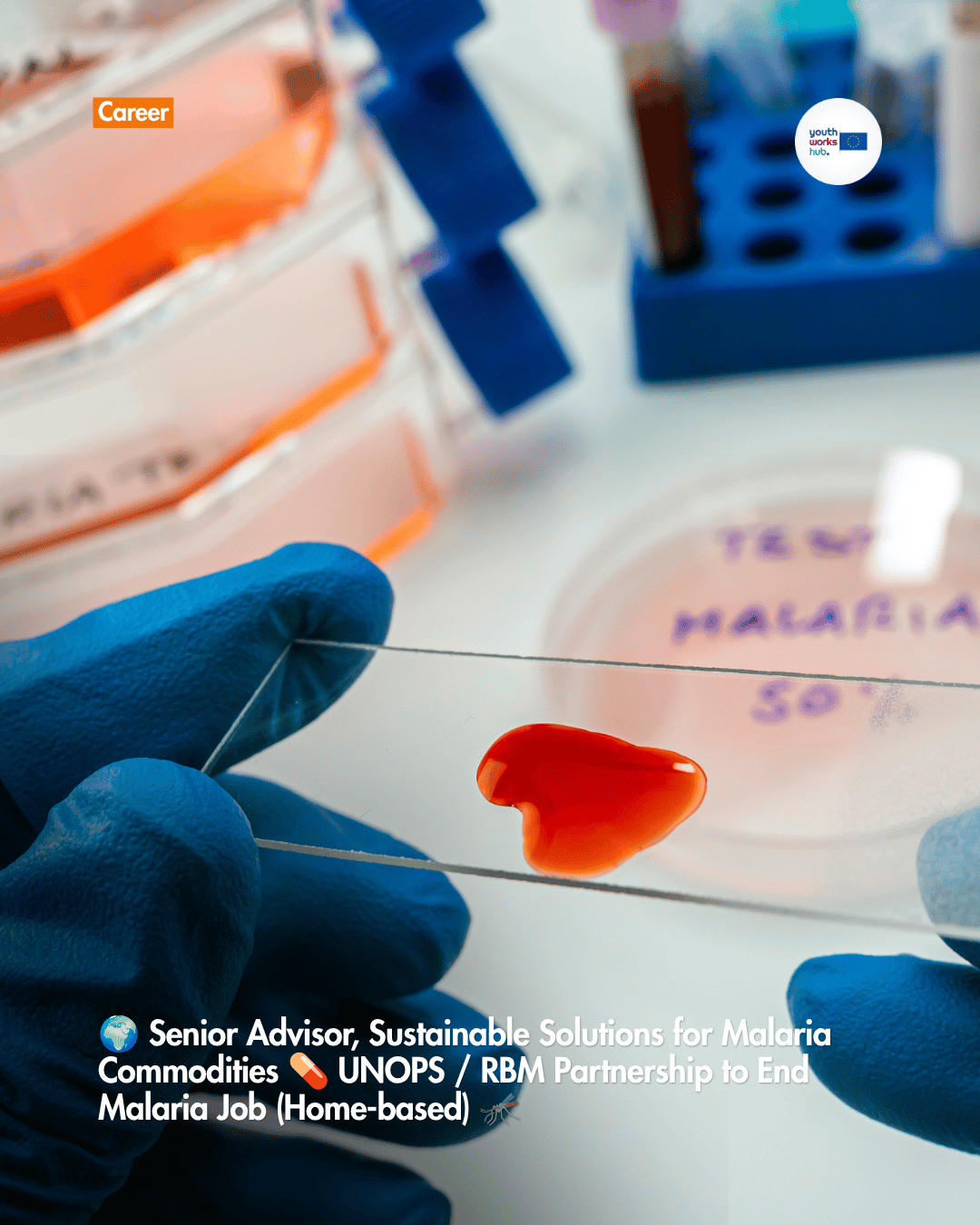 🌍 Senior Advisor, Sustainable Solutions for Malaria Commodities 💊 UNOPS / RBM Partnership to End Malaria Job (Home-based) 🦟