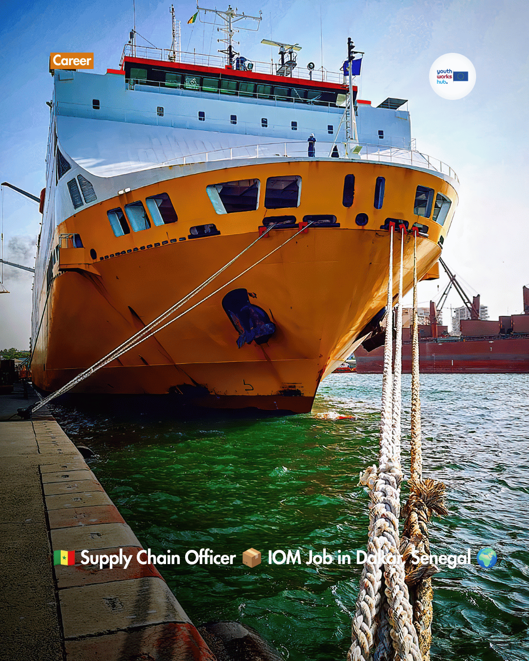 🇸🇳 Supply Chain Officer 📦 IOM Job in Dakar, Senegal 🌍