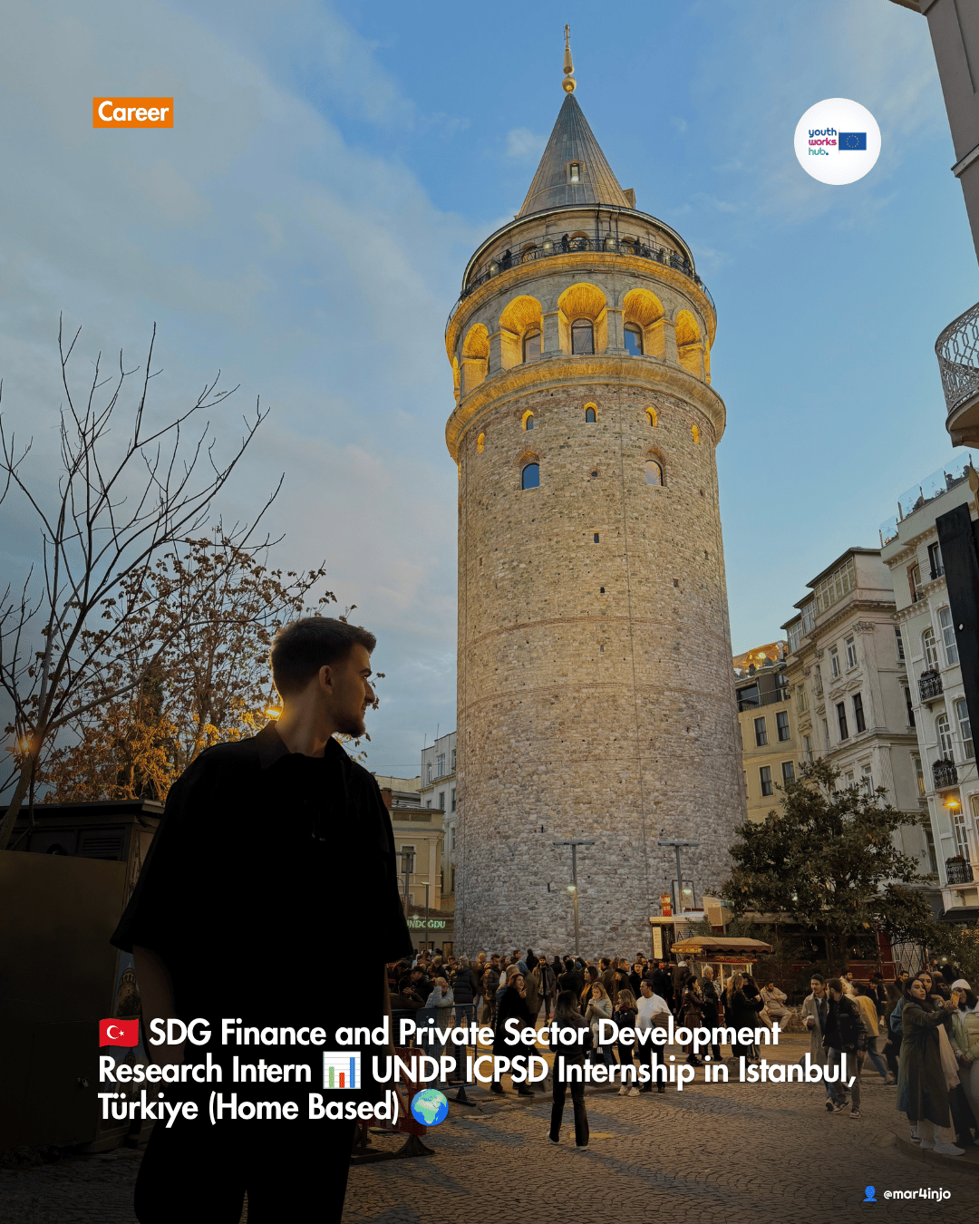 🇹🇷 SDG Finance and Private Sector Development Research Intern 📊 UNDP ICPSD Internship in Istanbul, Türkiye (Home Based) 🌍