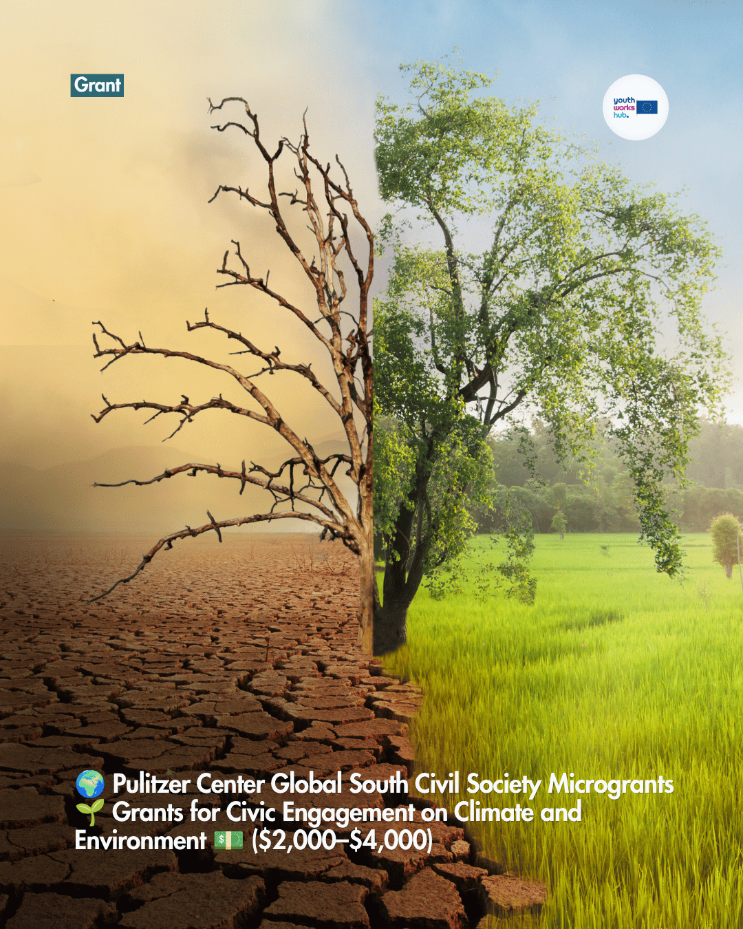 🌍 Pulitzer Center Global South Civil Society Microgrants 🌱 Grants for Civic Engagement on Climate and Environment 💵 ($2,000–$4,000)