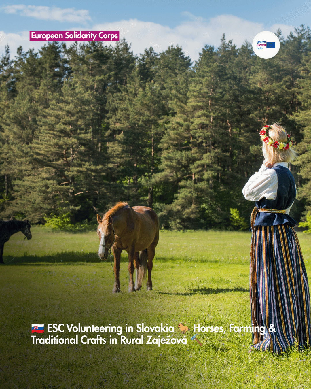 🇸🇰 ESC Volunteering in Slovakia 🐎 Horses, Farming & Traditional Crafts in Rural Zaježová 🔨