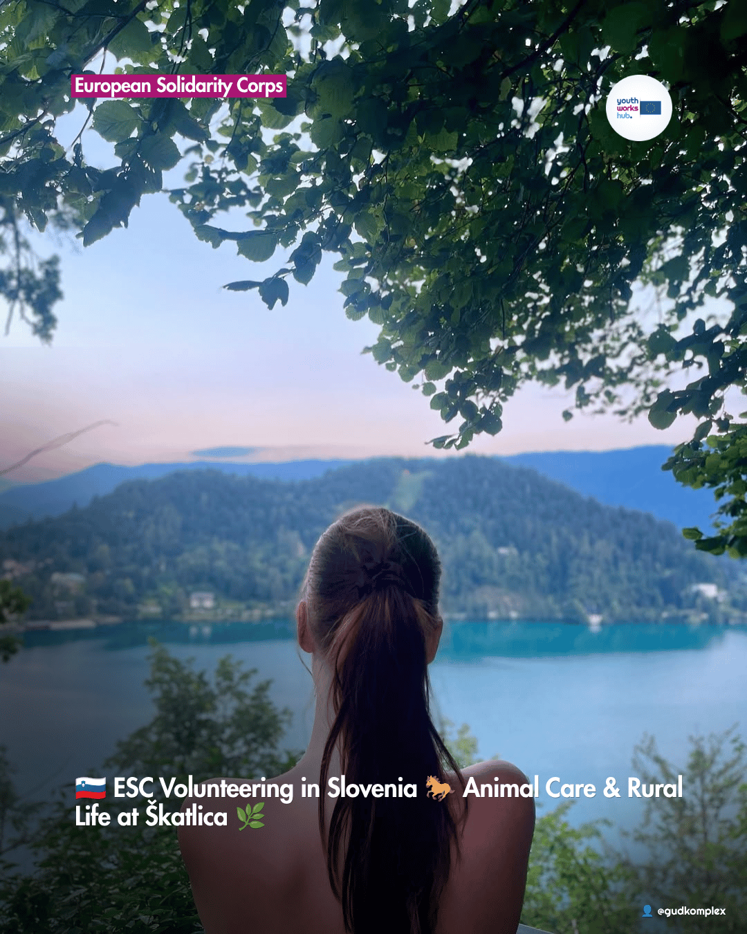 🇸🇮 ESC Volunteering in Slovenia 🐎 Animal Care & Rural Life at Škatlica 🌿
