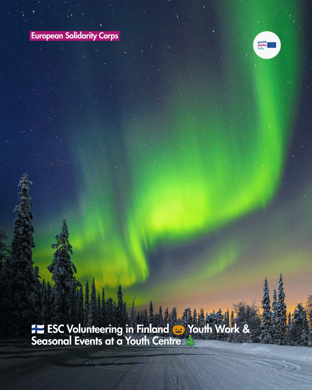 🇫🇮 ESC Volunteering in Finland 🎃 Youth Work & Seasonal Events at a Youth Centre 🎄