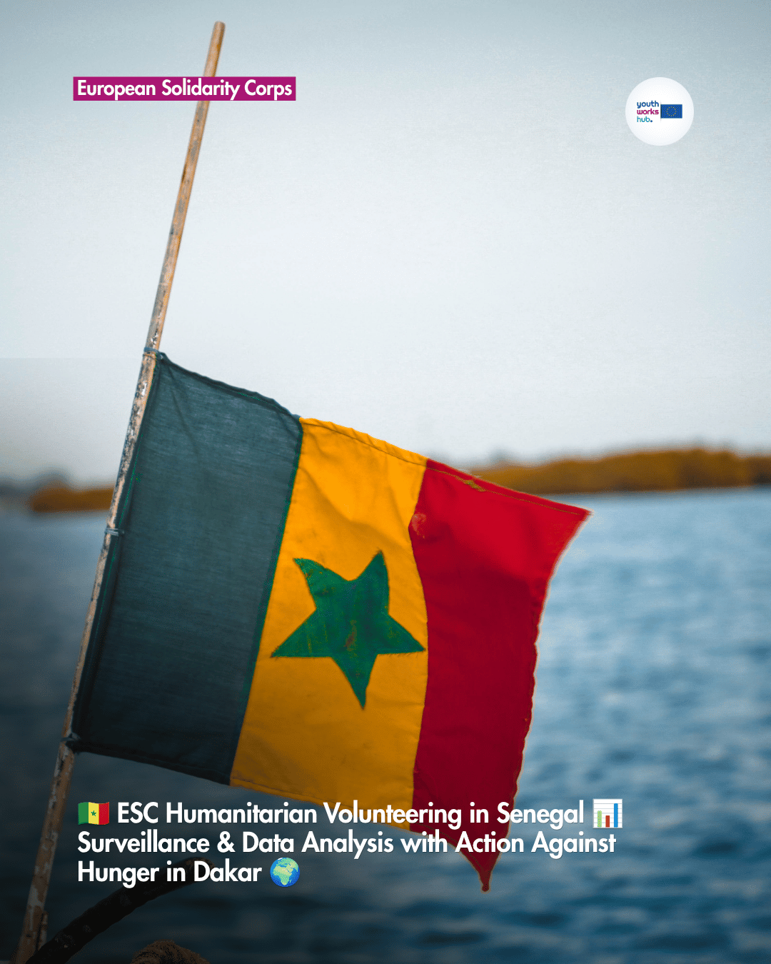 🇸🇳 ESC Humanitarian Volunteering in Senegal 📊 Surveillance & Data Analysis with Action Against Hunger in Dakar 🌍