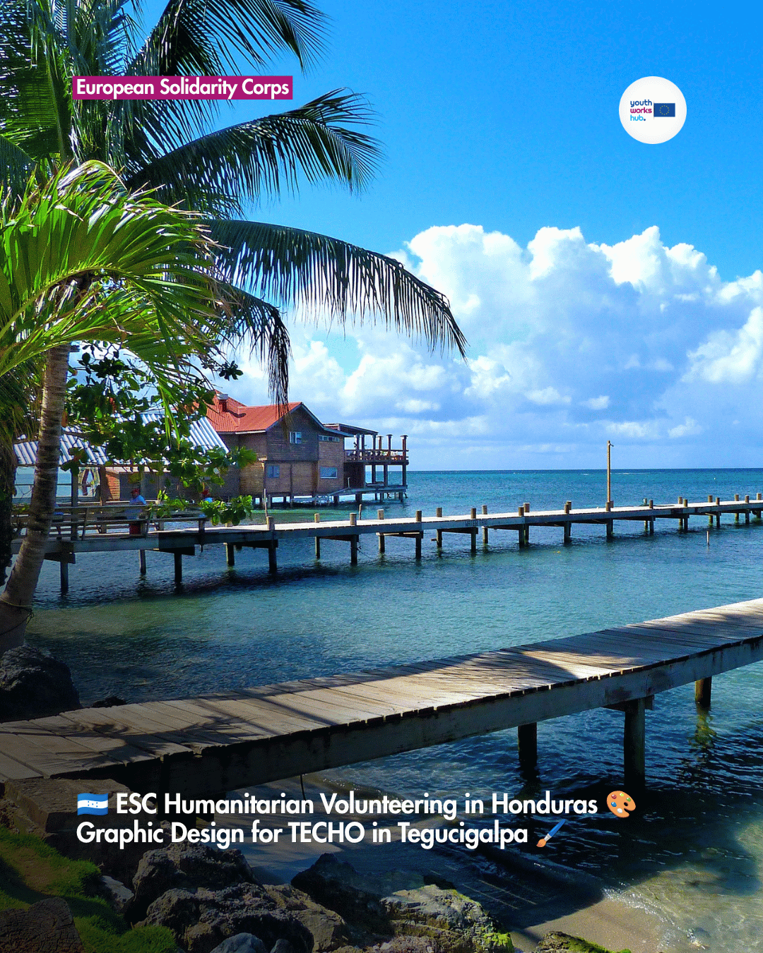 🇭🇳 ESC Humanitarian Volunteering in Honduras 🎨 Graphic Design for TECHO in Tegucigalpa 🖌️