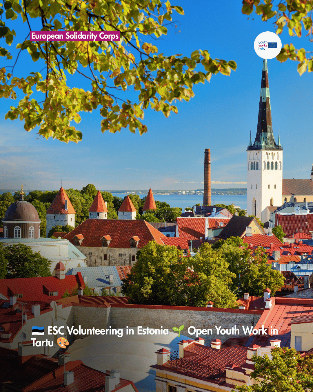 🇪🇪 ESC Volunteering in Estonia 🌱 Open Youth Work in Tartu 🎨