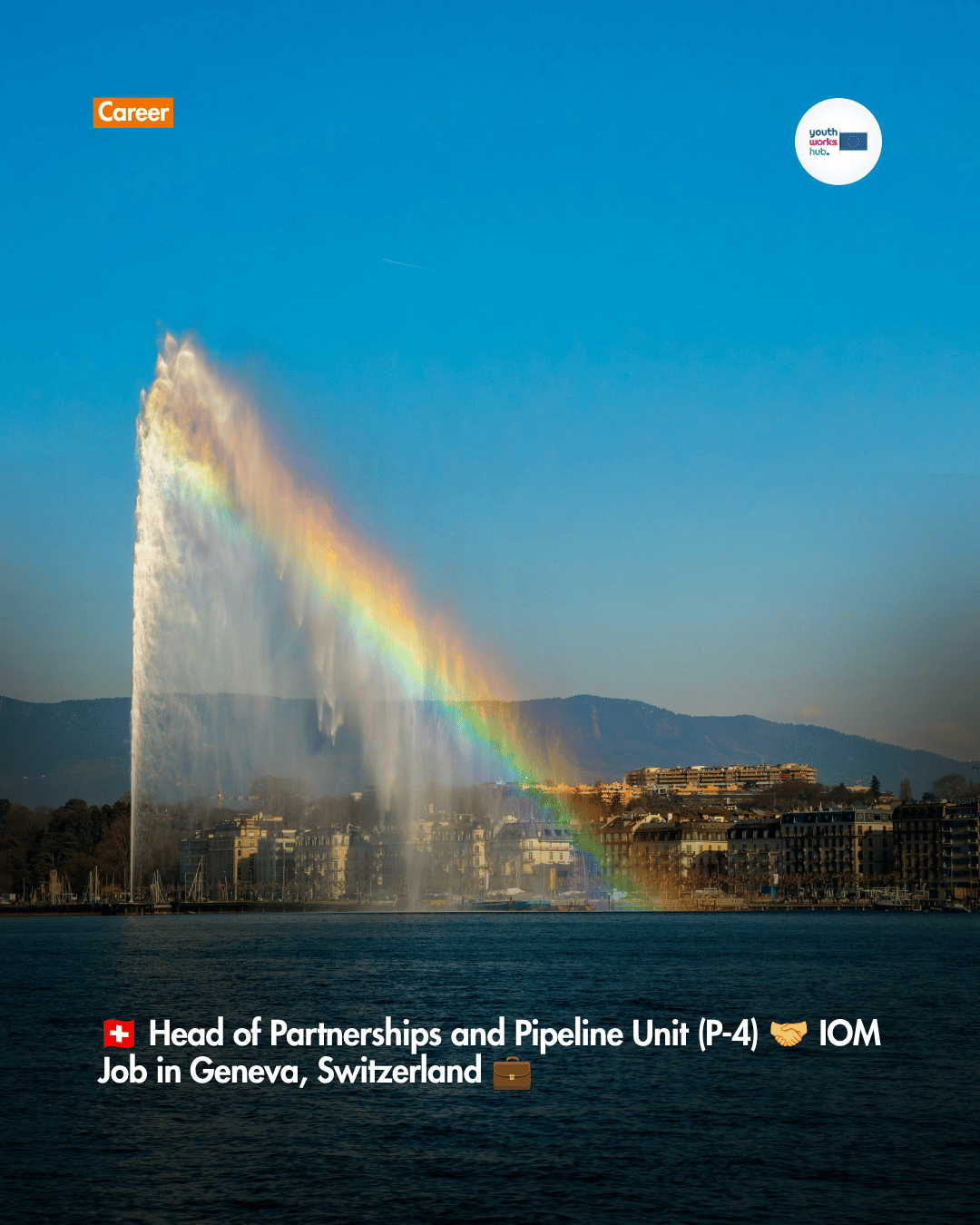 🇨🇭 Head of Partnerships and Pipeline Unit (P-4) 🤝 IOM Job in Geneva, Switzerland 💼