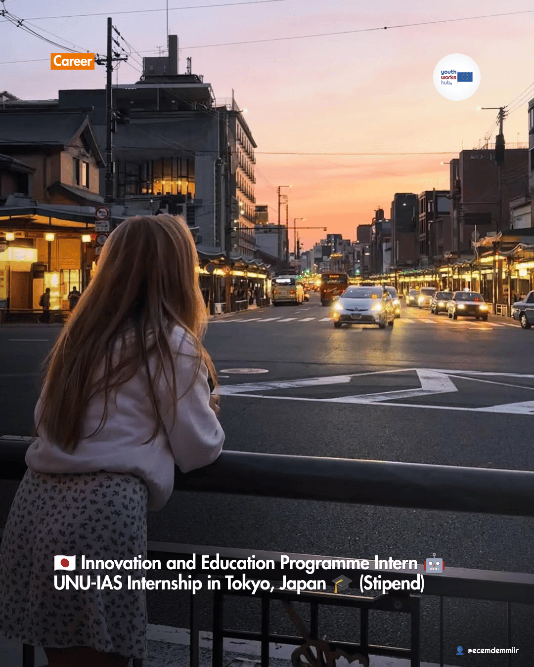 🇯🇵 Innovation and Education Programme Intern 🤖 UNU-IAS Internship in Tokyo, Japan 🎓 (Stipend)