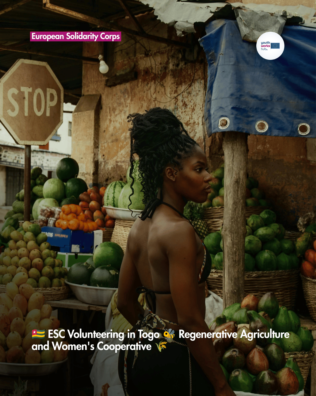 🇹🇬 ESC Volunteering in Togo 🐝 Regenerative Agriculture and Women's Cooperative 🌾