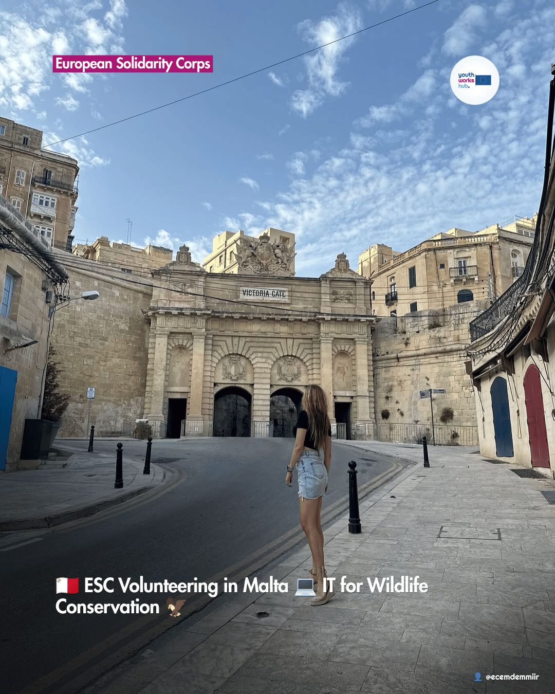 🇲🇹 ESC Volunteering in Malta 💻 IT for Wildlife Conservation 🦅