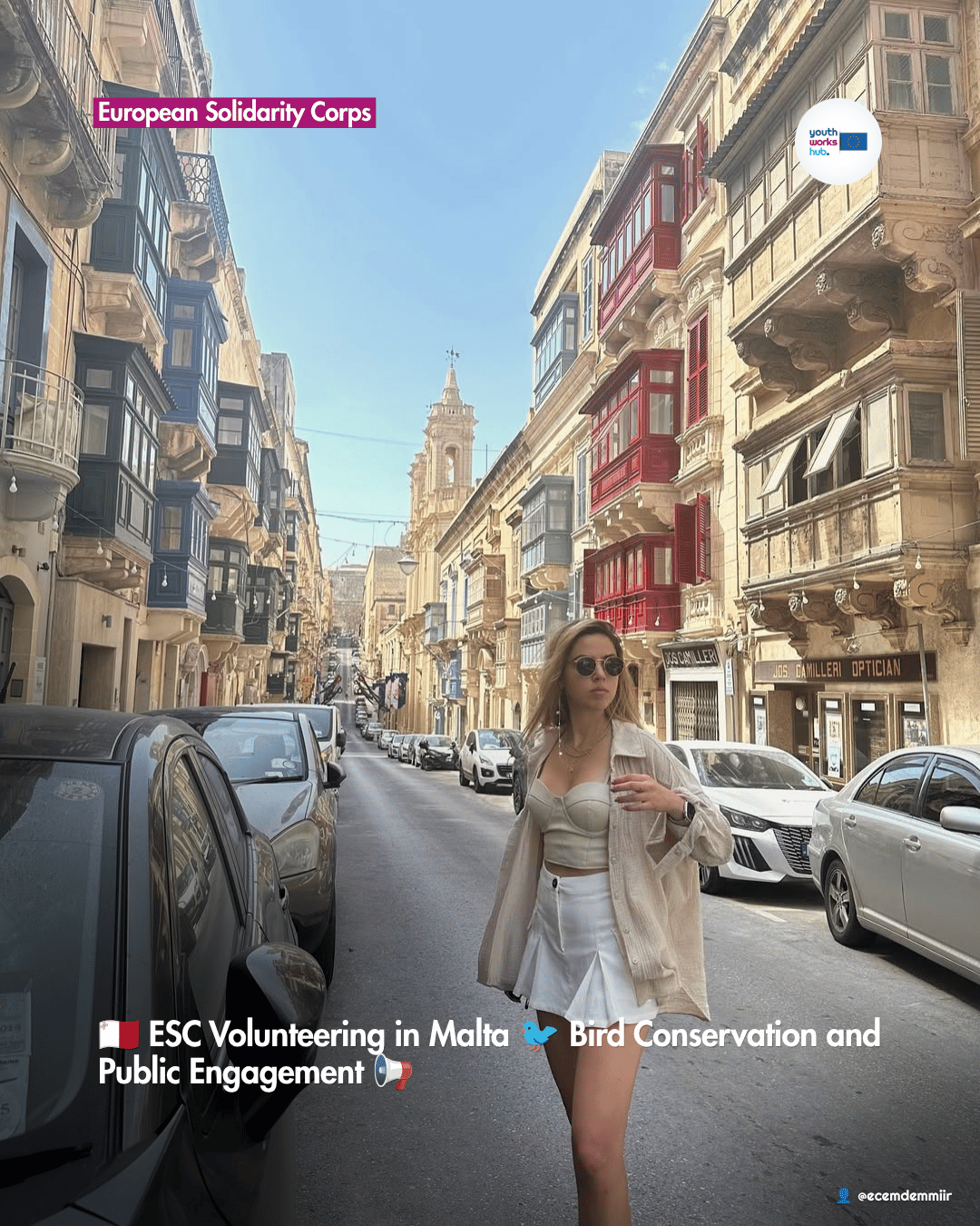🇲🇹 ESC Volunteering in Malta 🐦 Bird Conservation and Public Engagement 📢