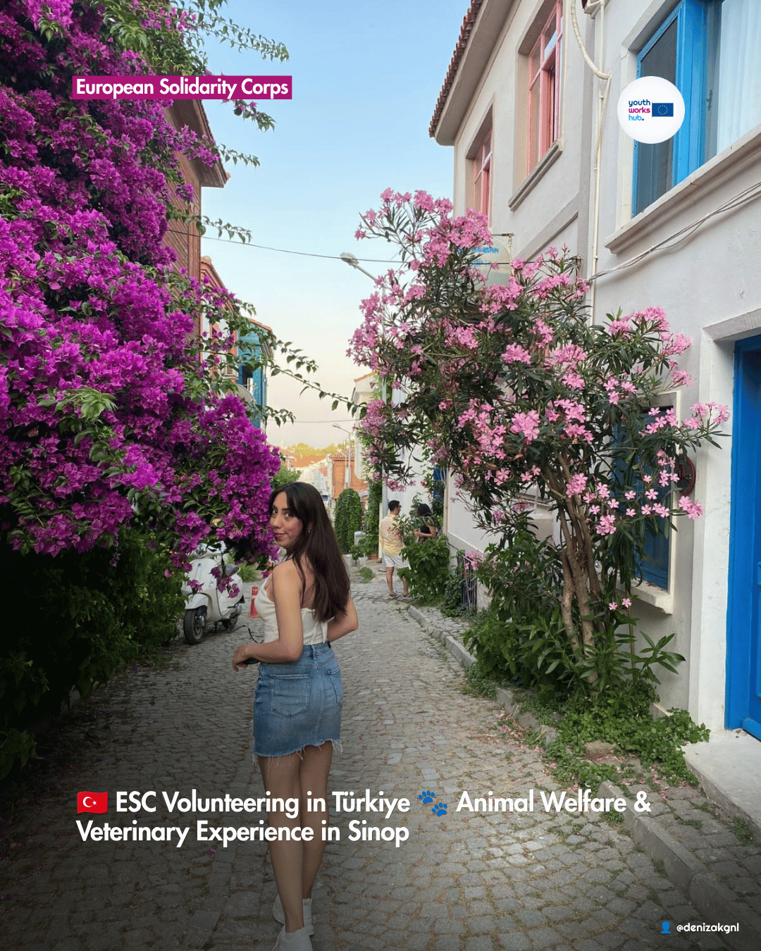 🇹🇷 ESC Volunteering in Türkiye 🐾 Animal Welfare & Veterinary Experience in Sinop
