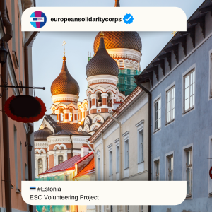 🎨🇪🇪 VOLUNTEERING IN HAABERSTI YOUTH CENTRE – TALLINN, ESTONIA 🇪🇪🎮