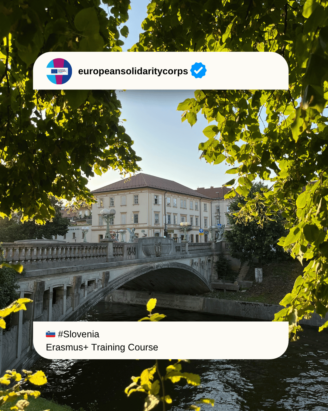 🤝 The Art of Connecting in Slovenia 🇸🇮