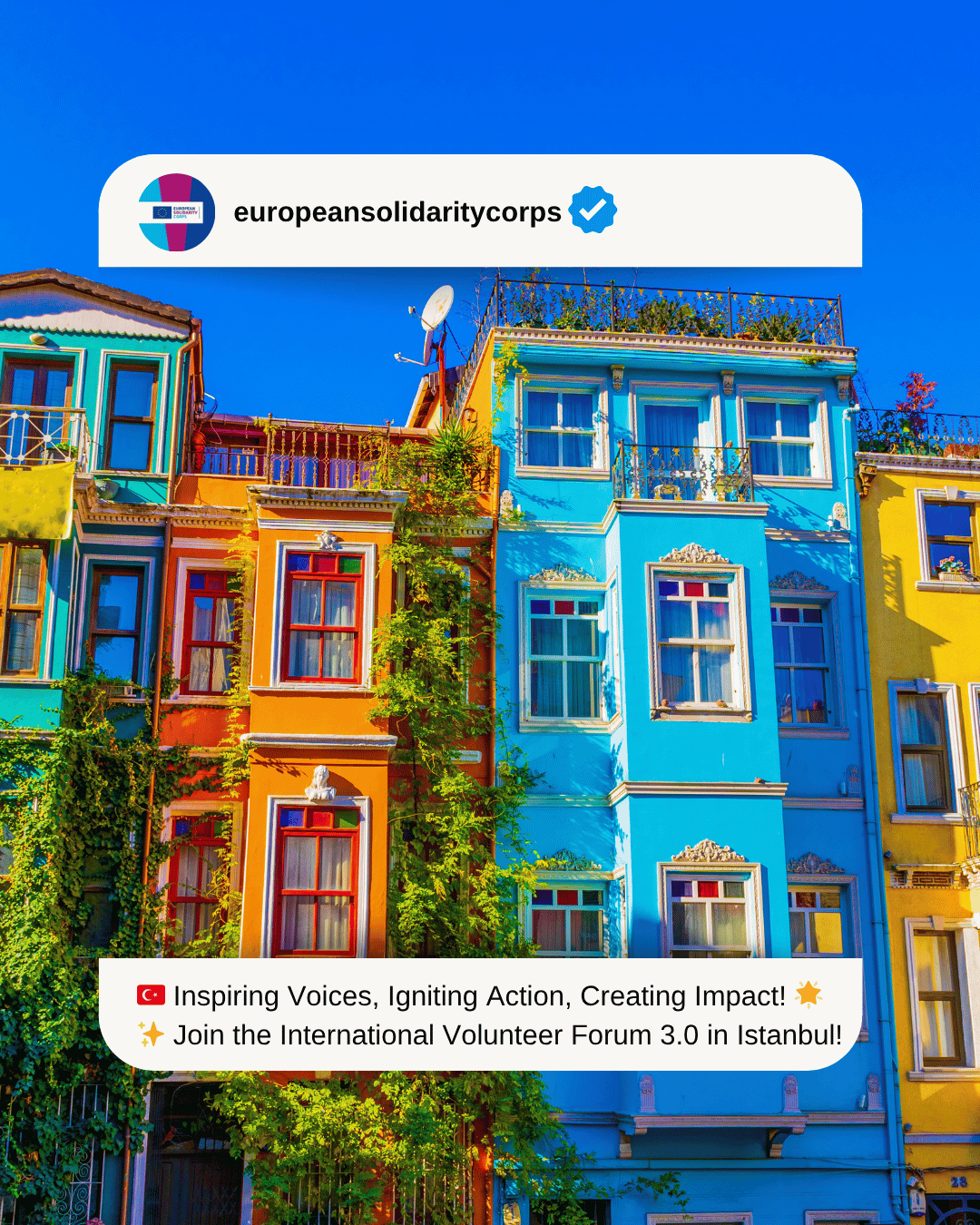 🇹🇷 Inspiring Voices, Igniting Action, Creating Impact! 🌟✨ Join the International Volunteer Forum 3.0 in Istanbul!