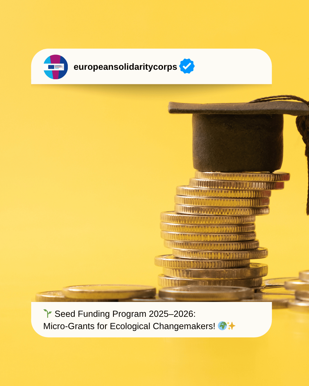 🌱 Seed Funding Program 2025–2026: Micro-Grants for Ecological Changemakers! 🌍✨