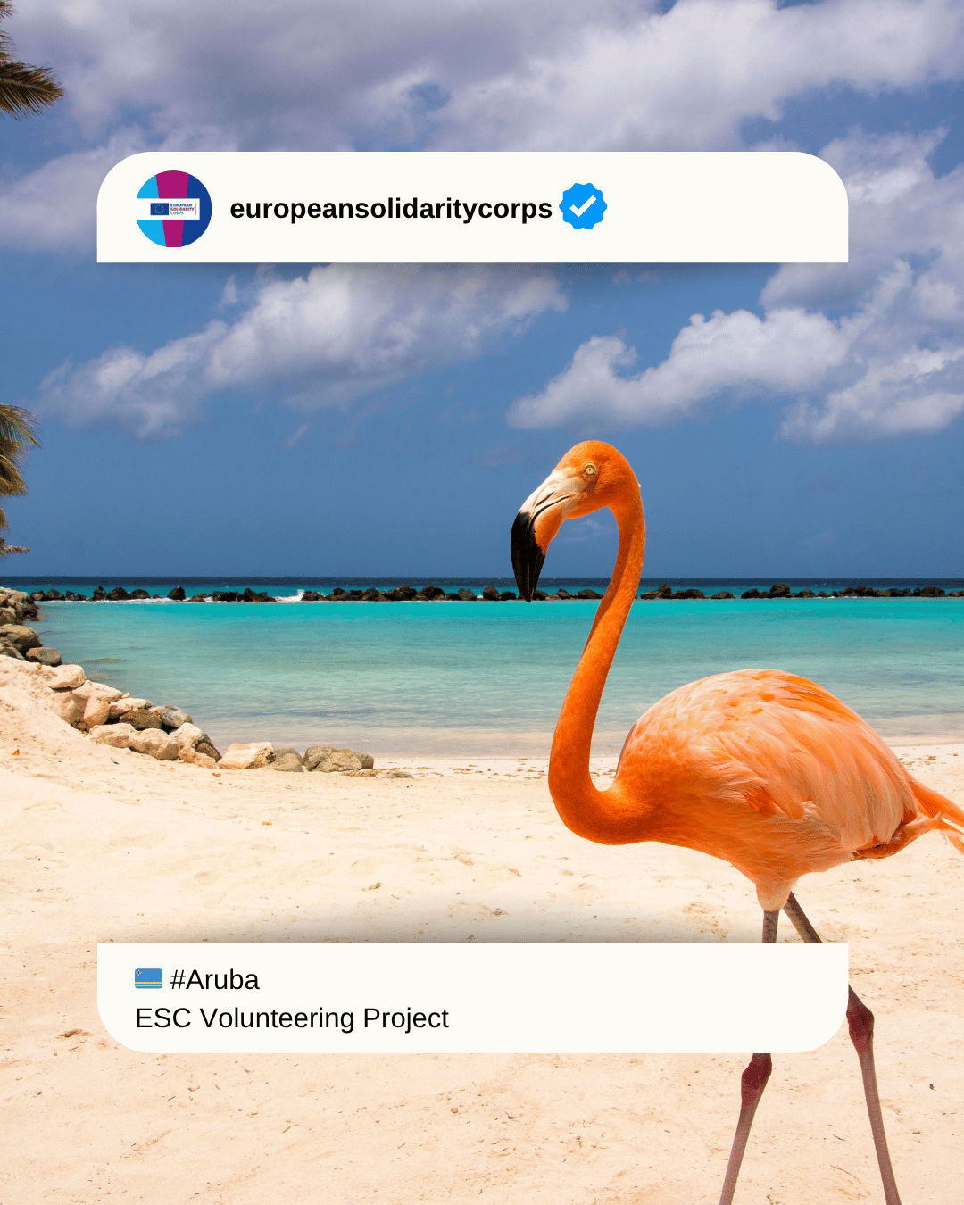 🇦🇼 Get Creative in Aruba! 🎥✨ Join the ESC Communication Project with Tur Cos Ta Posibel!
