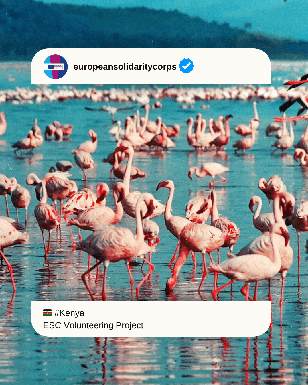 🇰🇪 Drive Change in Nairobi, Kenya! 🌍✨ Join WeWorld’s Procurement & Logistics ESC Adventure!