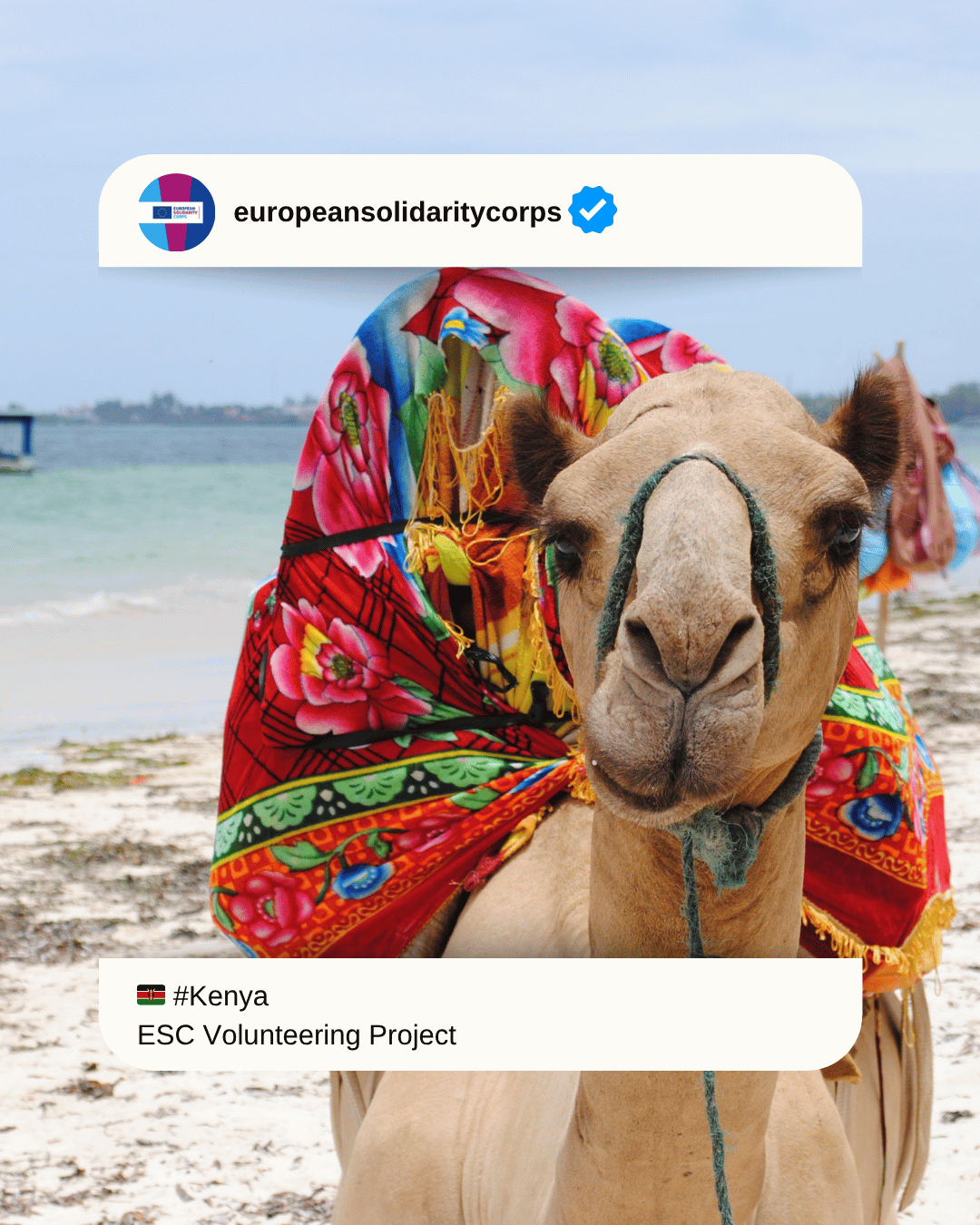 🇰🇪 Transform Lives in Nairobi, Kenya! 🌍✨ Join WeWorld’s Humanitarian ESC Adventure!