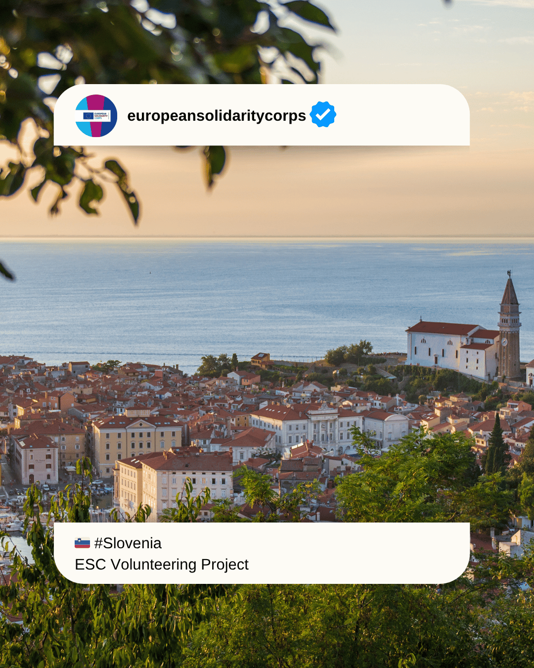 🇸🇮 Solidarity in Primorska! 🤝✨ Join Trajnostni Park Istra’s ESC Team in Crni Kal!