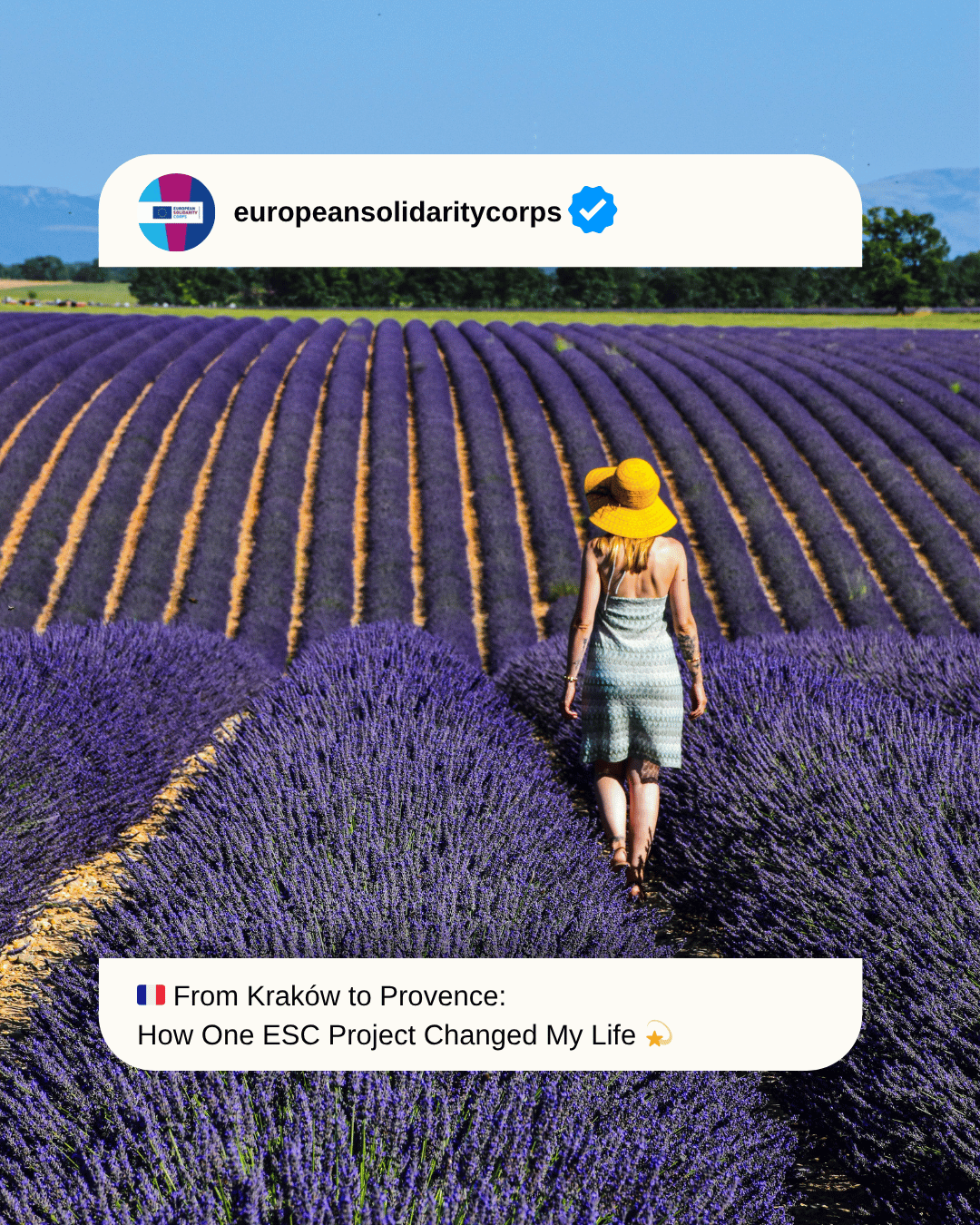 🇫🇷 From Kraków to Provence: How One ESC Project Changed My Life 💫