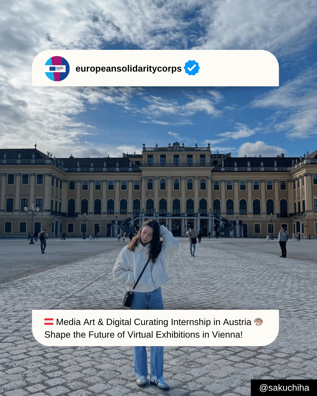 🇦🇹 Media Art & Digital Curating Internship in Austria 🎨 Shape the Future of Virtual Exhibitions with Das LOT Vienna!