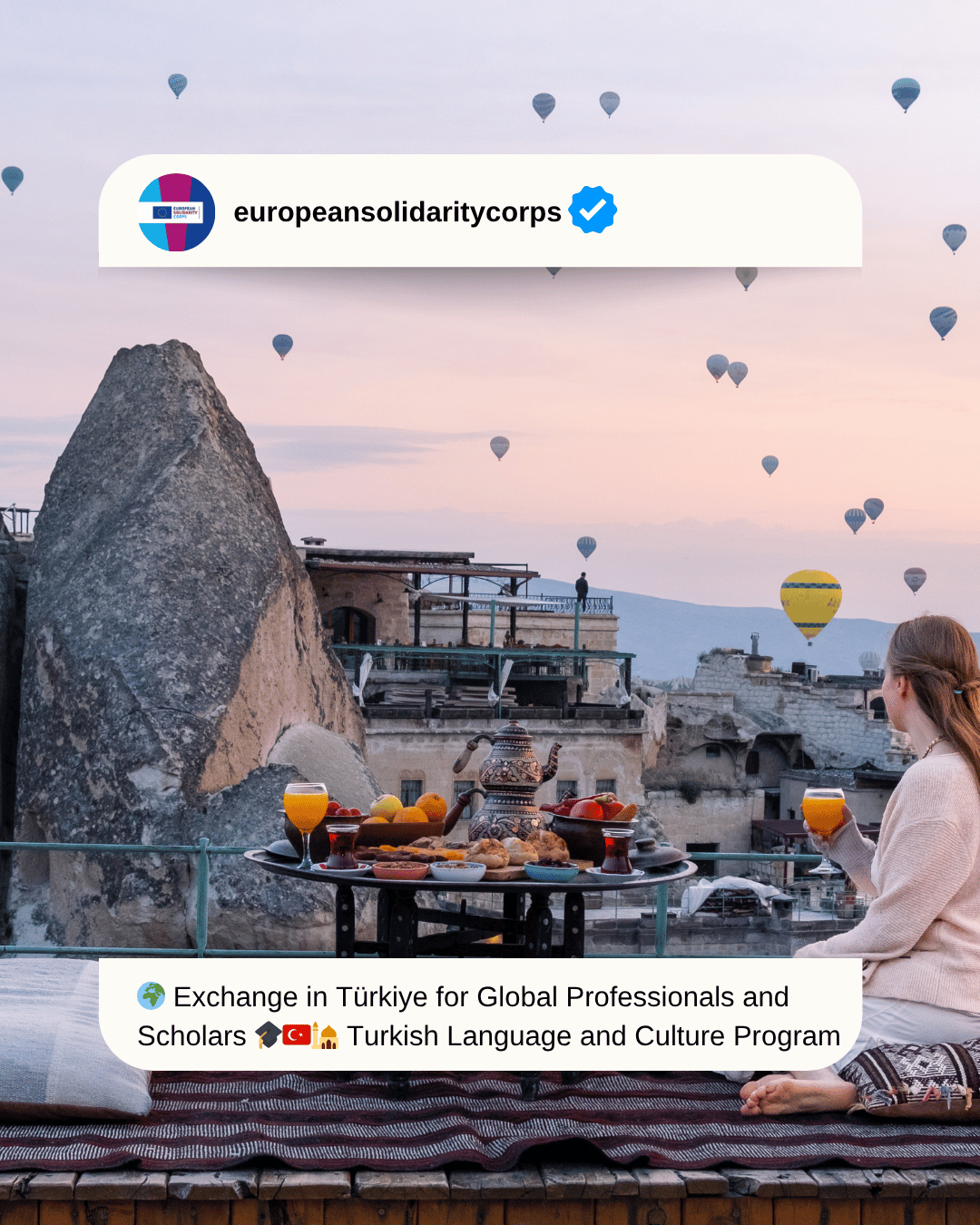 🌍 Cultural Exchange in Türkiye for Global Professionals and Scholars 🎓🇹🇷🕌 Turkish Language and Culture Program 2025 – Fully Funded in Ankara!