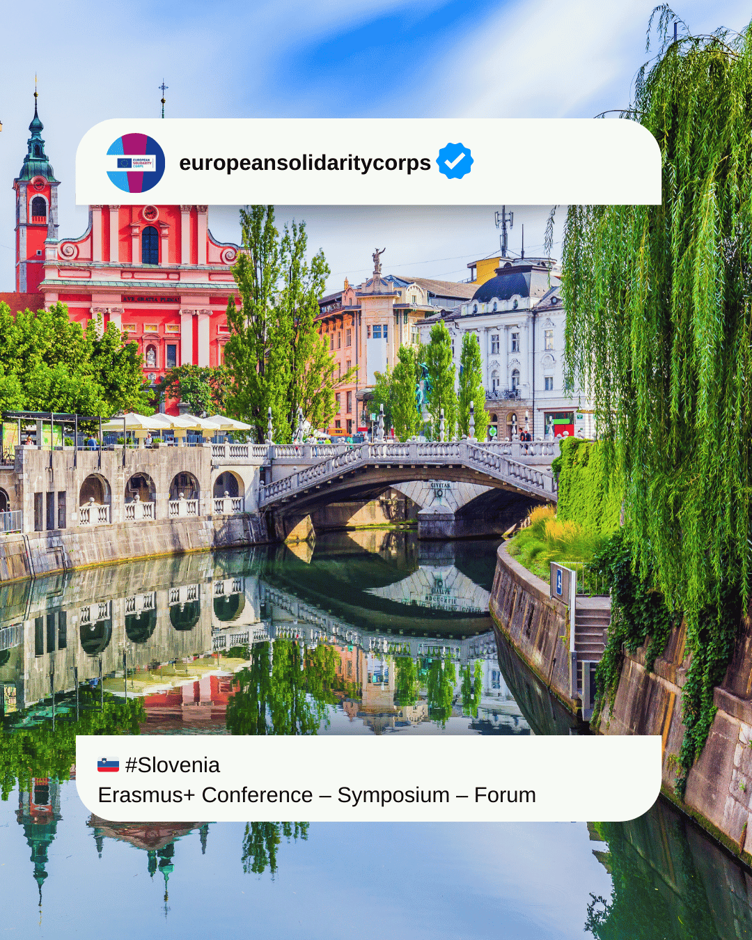 🌳 International Conference in Slovenia – Mladost (je) ni norost 2025 🌍 It Takes a Forest to Grow a Mushroom! 🇸🇮