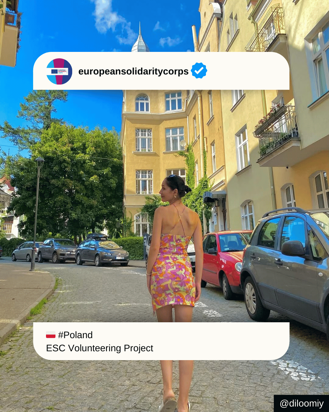 🌍 ESC Volunteering in Poland – “Winter Camps” 🇵🇱