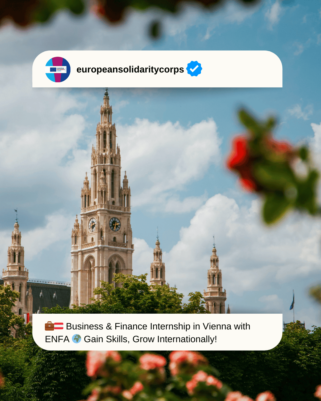 💼🇦🇹 Business & Finance Internship in Vienna with ENFA 🌍 Gain Skills, Grow Internationally!