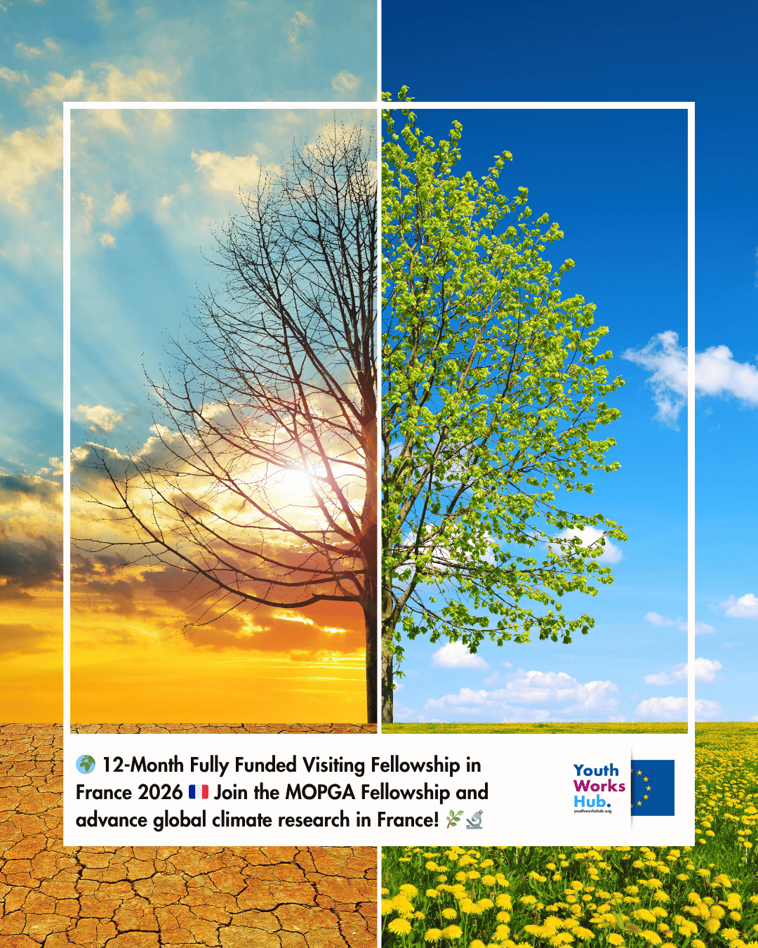 🌍 12-Month Fully Funded Visiting Fellowship in France 2026 🇫🇷