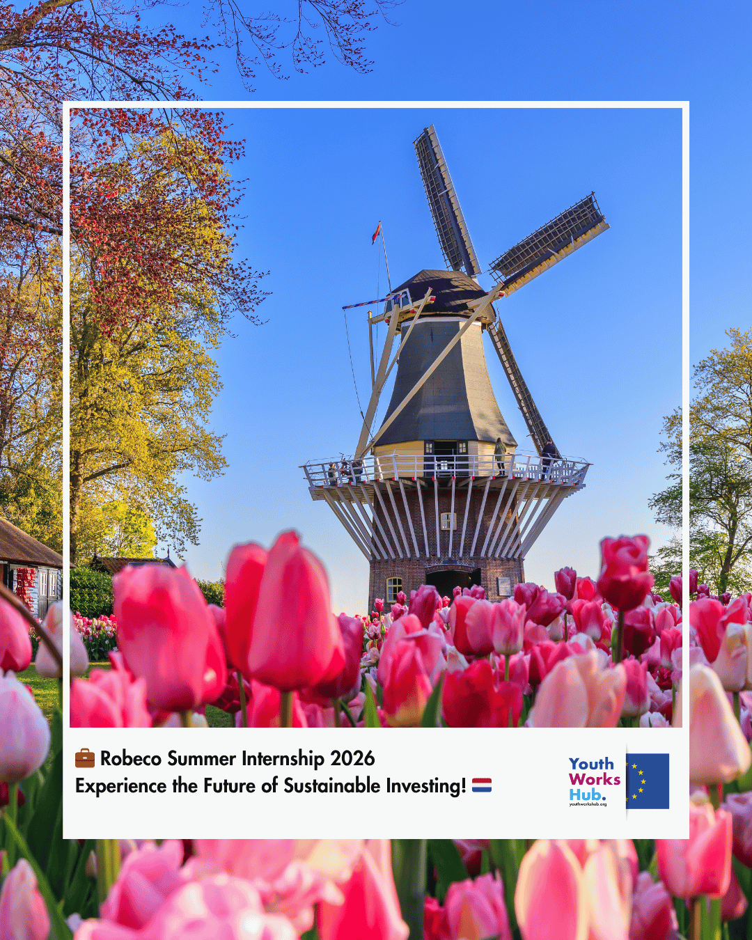 💼 Robeco Summer Internship 2026 – Experience the Future of Sustainable Investing! 🇳🇱