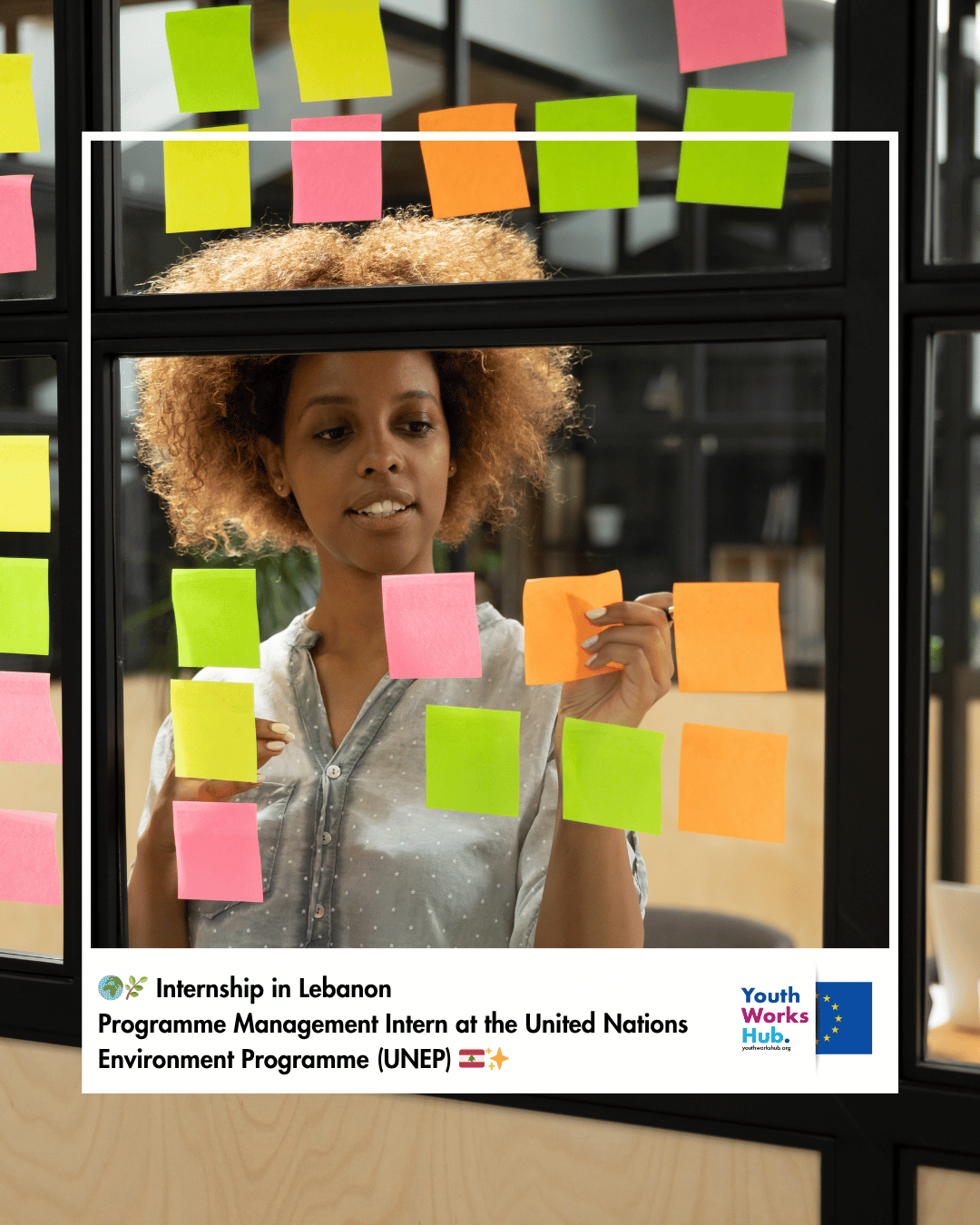 🌍🌿 Internship in Lebanon – Programme Management Intern at the United Nations Environment Programme (UNEP) 🇱🇧✨