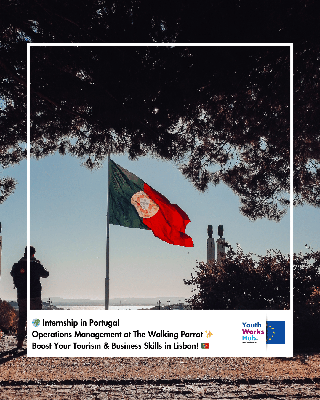 🌍 Internship in Portugal – Operations Management at The Walking Parrot ✨ Boost Your Tourism & Business Skills in Lisbon! 🇵🇹
