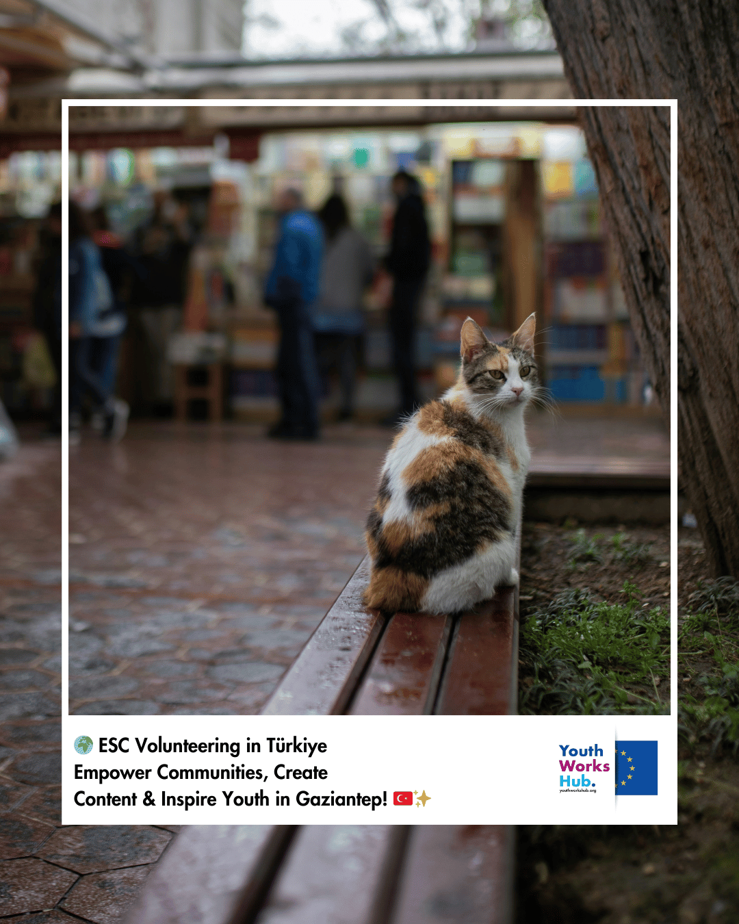 🌍 ESC Volunteering in Türkiye – Empower Communities, Create Content & Inspire Youth in Gaziantep! 🇹🇷✨