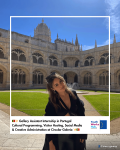 🇵🇹✨ Gallery Assistant Internship in Portugal – Cultural Programming, Visitor Hosting, Social Media & Creative Administration at Circular Galeria ✨🇵🇹