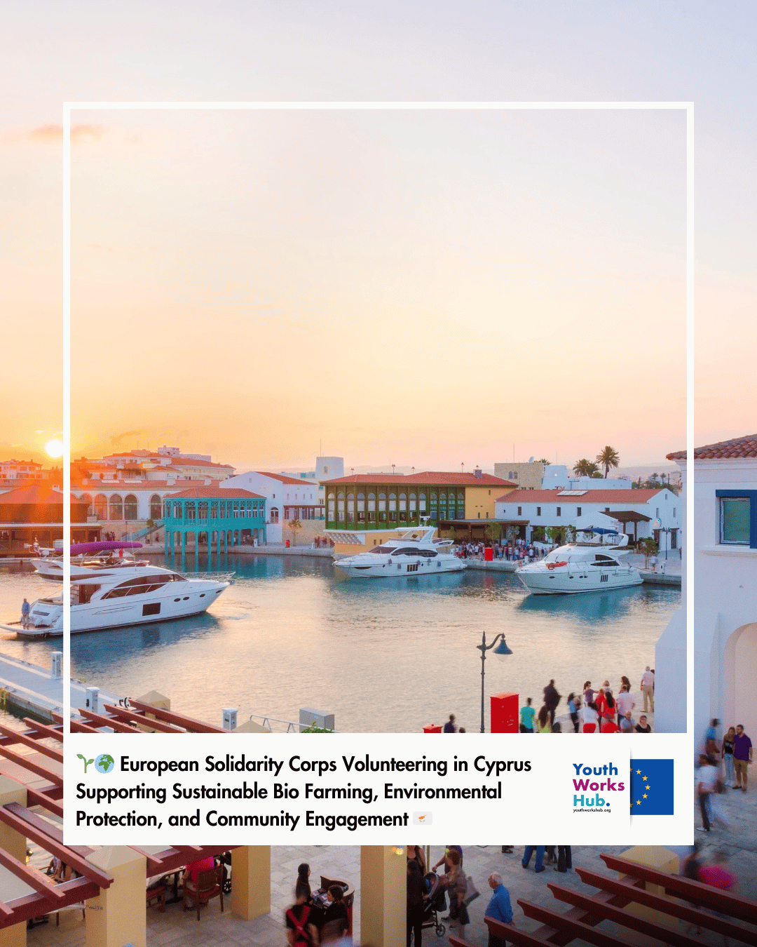 🌱🌍 European Solidarity Corps Volunteering in Cyprus Supporting Sustainable Bio Farming, Environmental Protection, and Community Engagement 🇨🇾