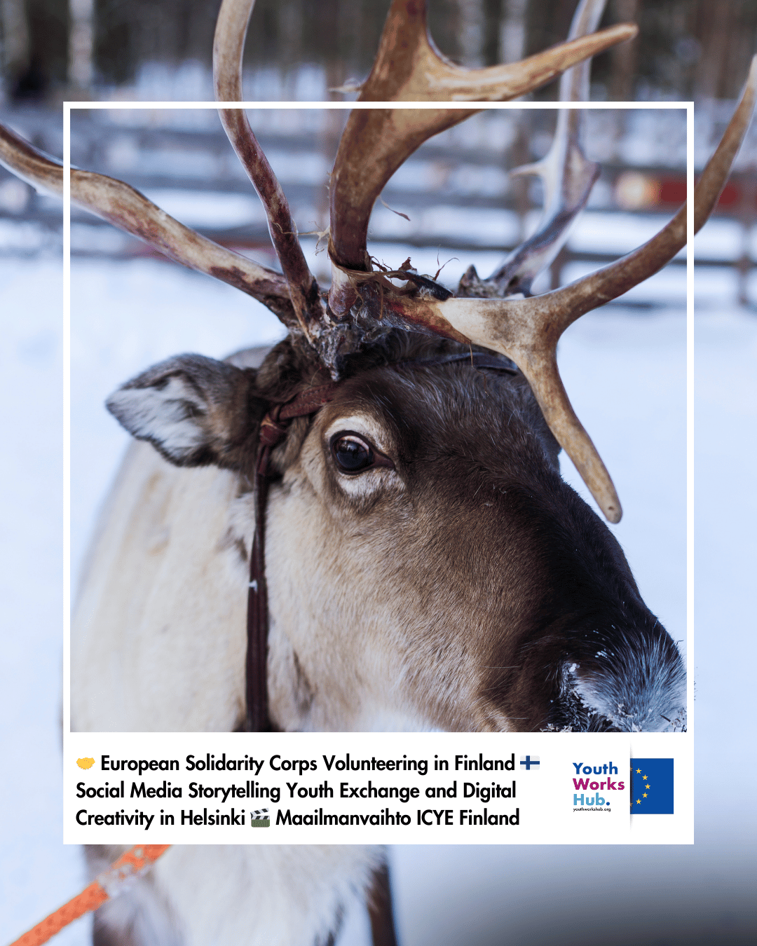 🤝 European Solidarity Corps Volunteering in Finland 🇫🇮 Social Media Storytelling Youth Exchange and Digital Creativity in Helsinki 🎬 Maailmanvaihto ICYE Finland Office