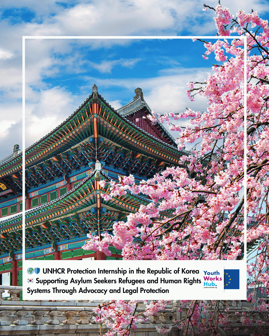 🌍🛡️ UNHCR Protection Internship in the Republic of Korea 🇰🇷 Supporting Asylum Seekers Refugees and Human Rights Systems Through Advocacy and Legal Protection
