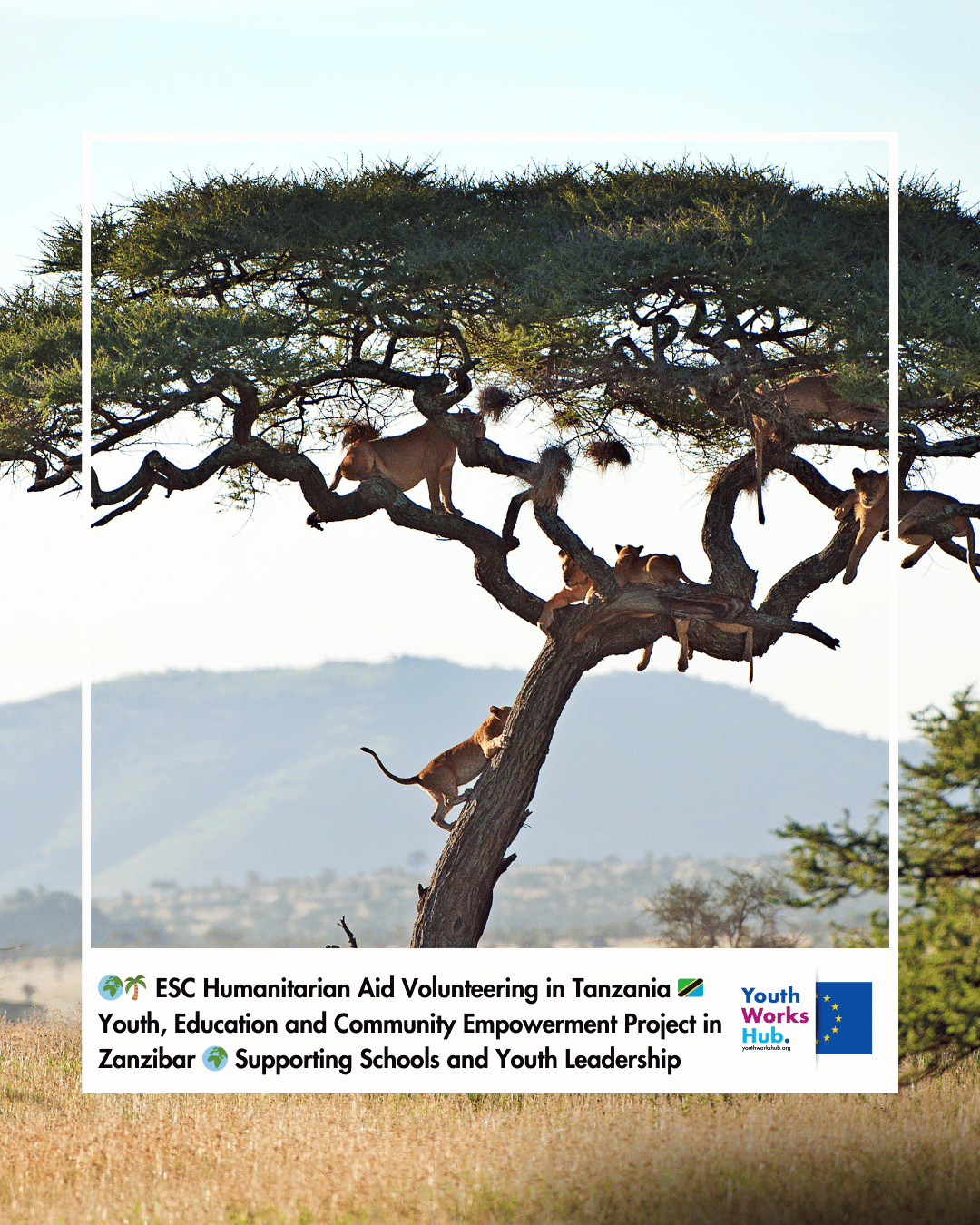 🌍🌴 ESC Humanitarian Aid Volunteering in Tanzania 🇹🇿 Youth, Education and Community Empowerment Project in Zanzibar 🌍 Supporting Schools, Women’s Training and Youth Leadership