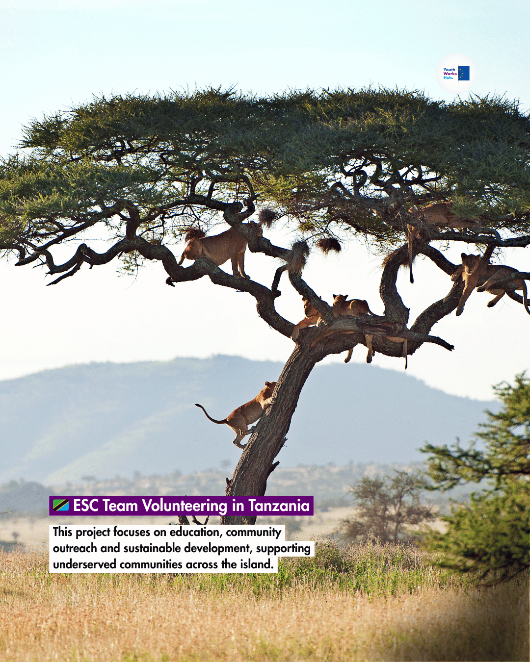 🌍🇹🇿 ESC Team Volunteering in Tanzania “Team Volunteering in Zanzibar” Education, Community & Sustainability Experience 🇹🇿🌍