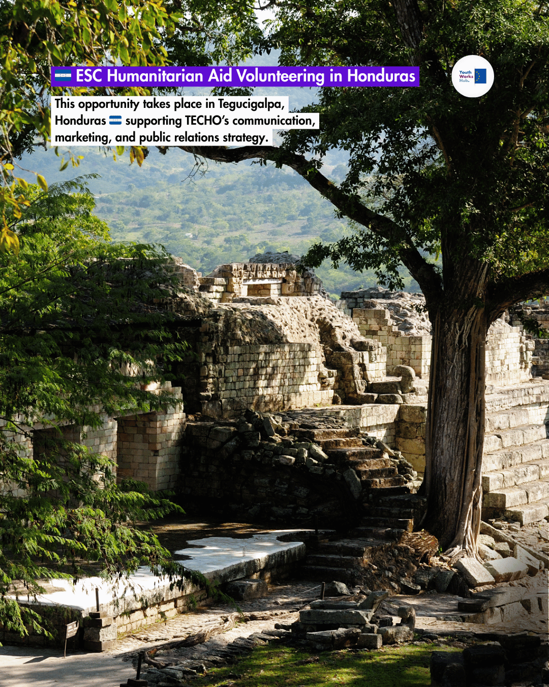🇭🇳 ESC Humanitarian Aid Volunteering in Honduras “Marketing & Public Relations with TECHO” €700 Monthly Allowance 🇭🇳
