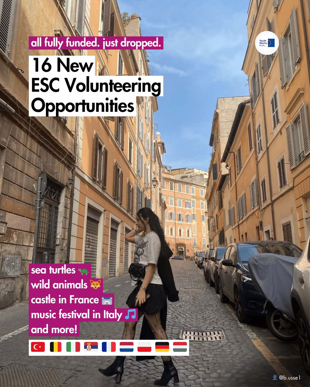 ✨16 New ESC Volunteering Opportunities 🌍Sea Turtles, Donkeys, Music Festivals & More