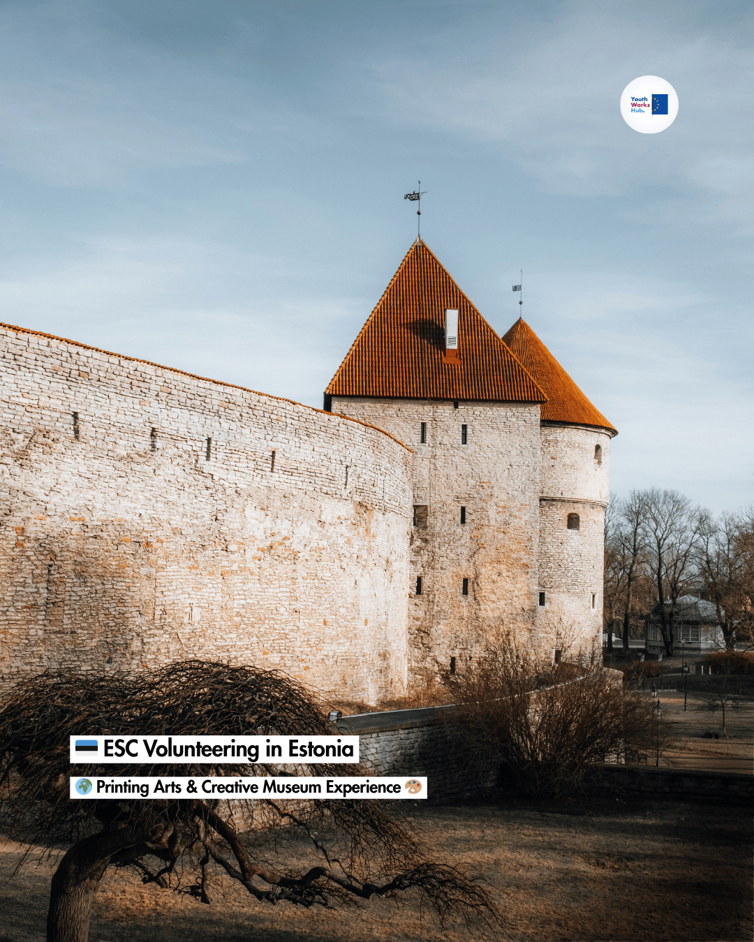 🇪🇪 ESC Volunteering in Estonia 🌍 Printing Arts & Creative Museum Experience 🎨