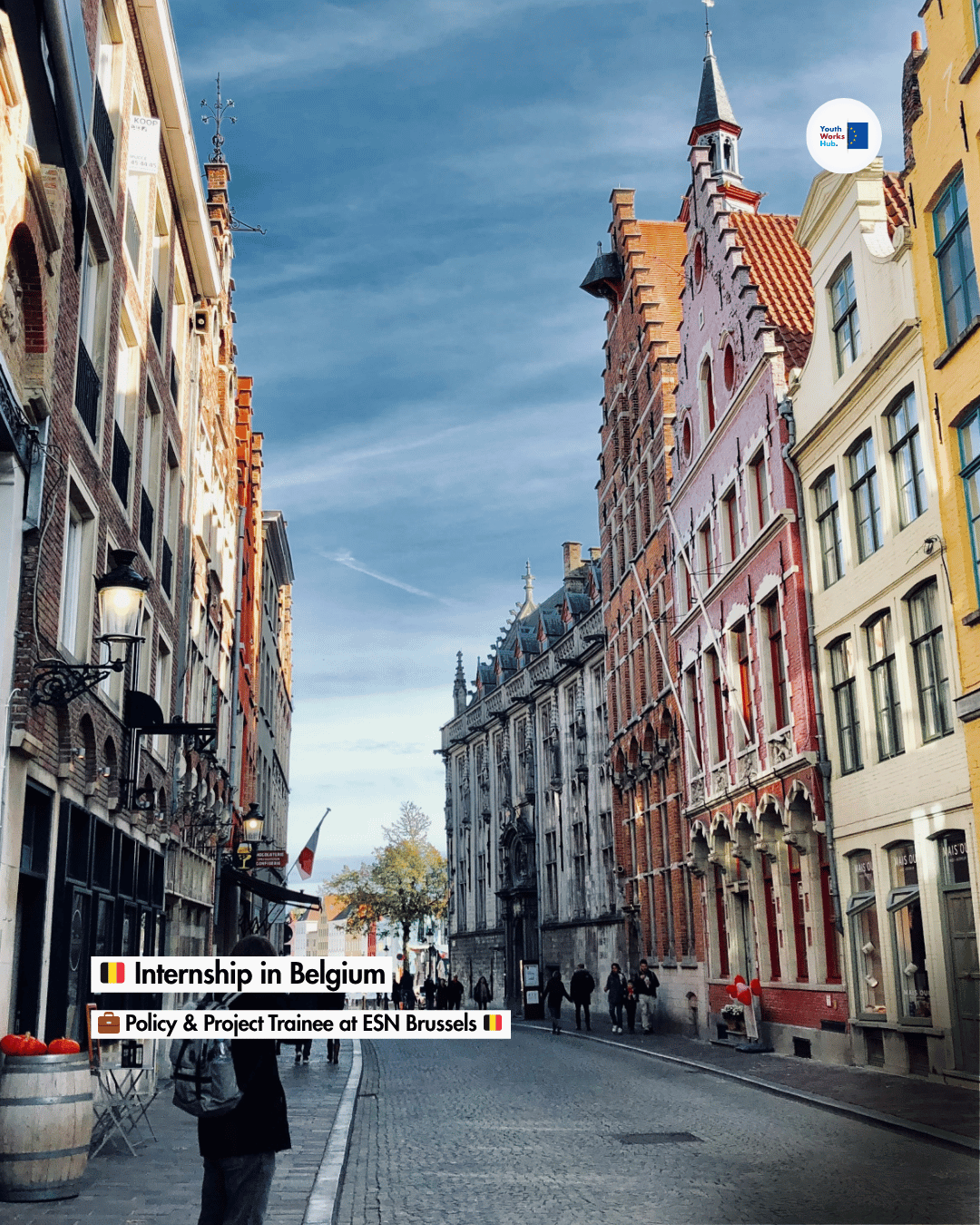 🇧🇪 Internship in Belgium 💼 Policy & Project Trainee at ESN Brussels 🇧🇪