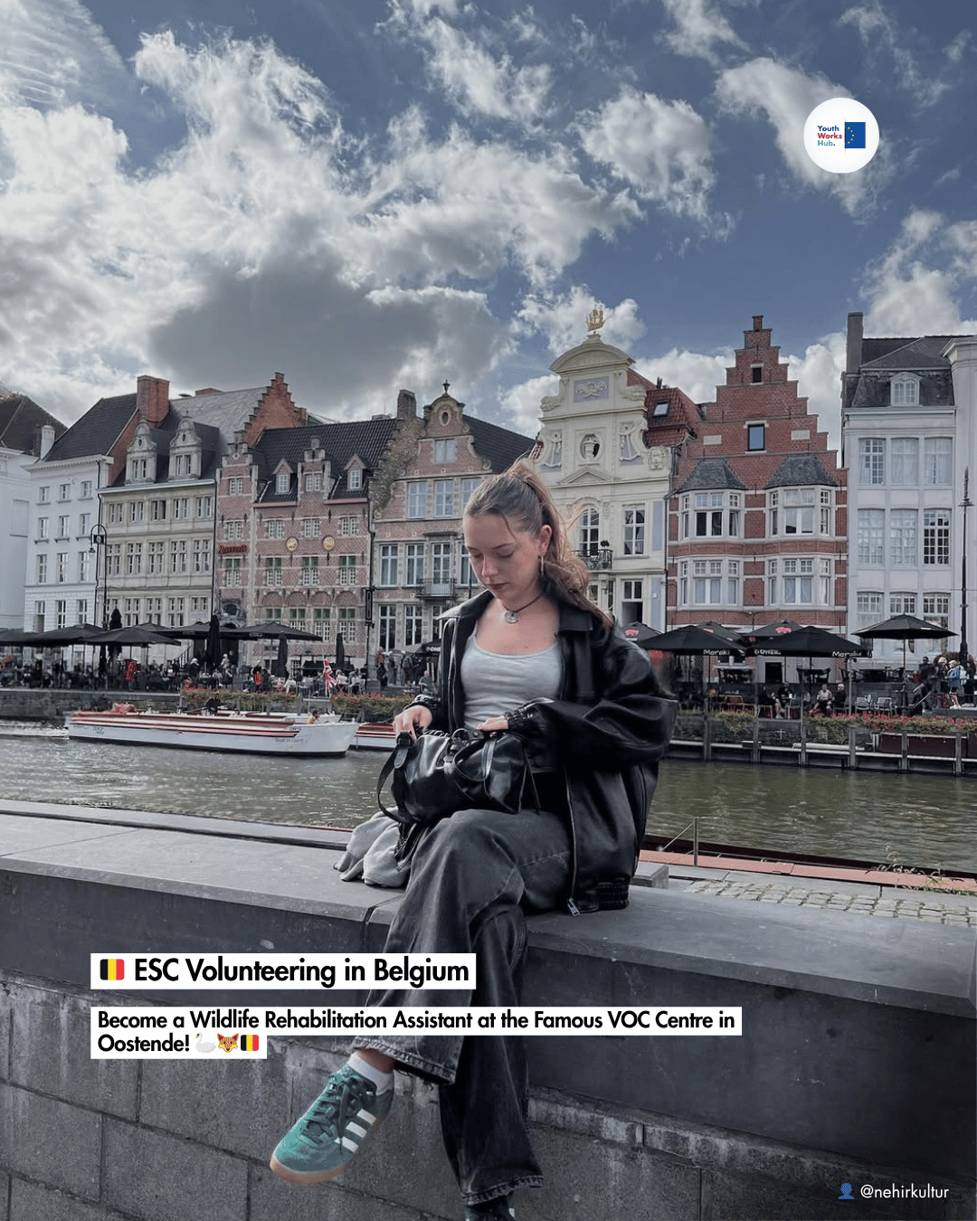 🇧🇪 ESC Volunteering in Belgium: Become a Wildlife Rehabilitation Assistant at the Famous VOC Centre in Oostende! 🦢🦊🇧🇪