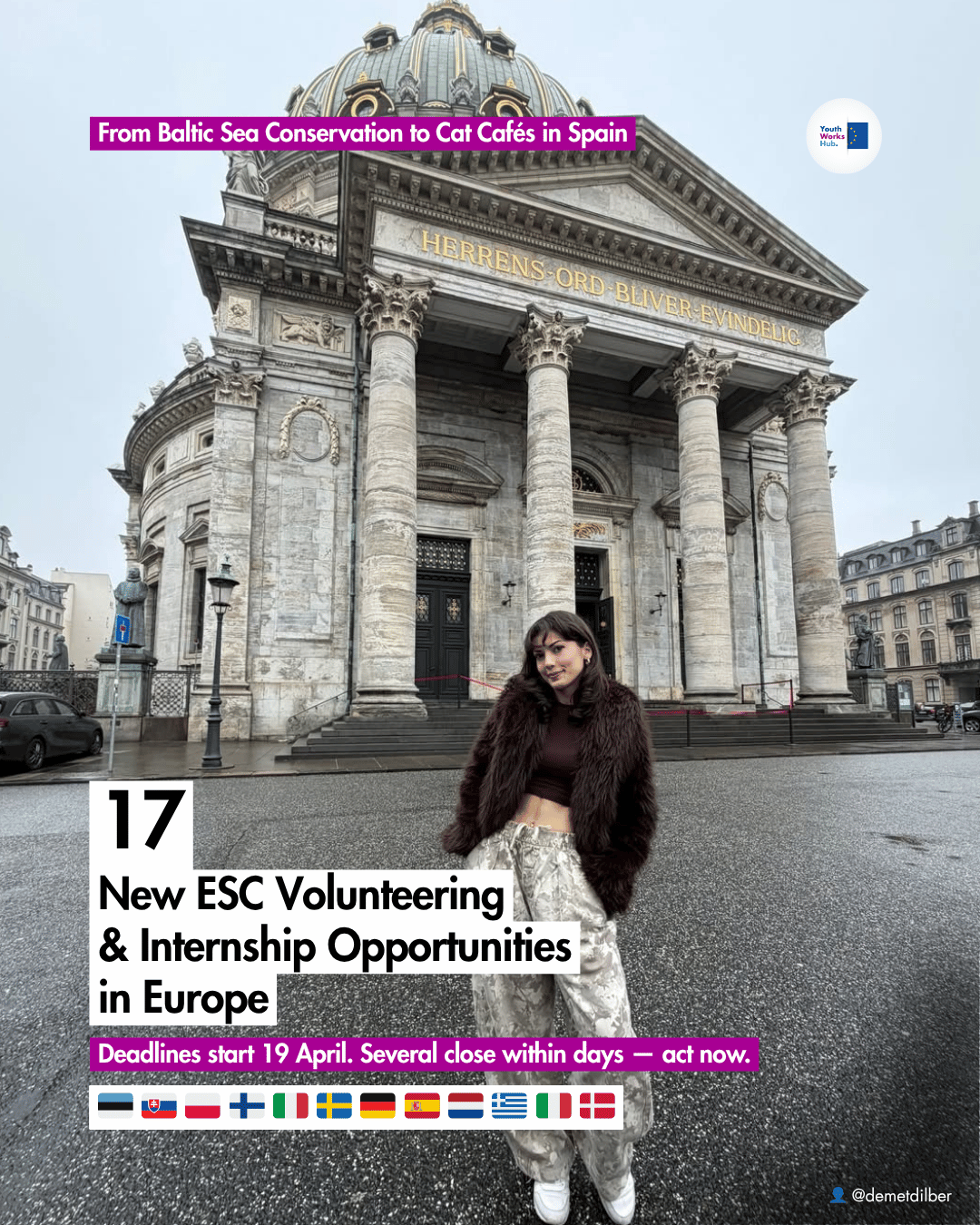 🌱 17 New Opportunities — From Baltic Sea Conservation to Cat Cafés in Spain